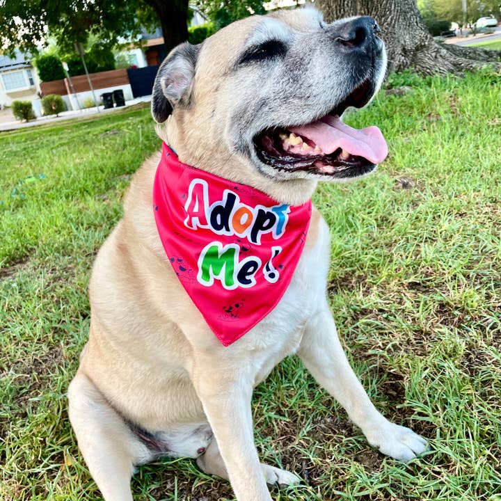 Giving Paws - Wholesale Pet Bandana - Dog - "Adopt Me" Dog Bandana