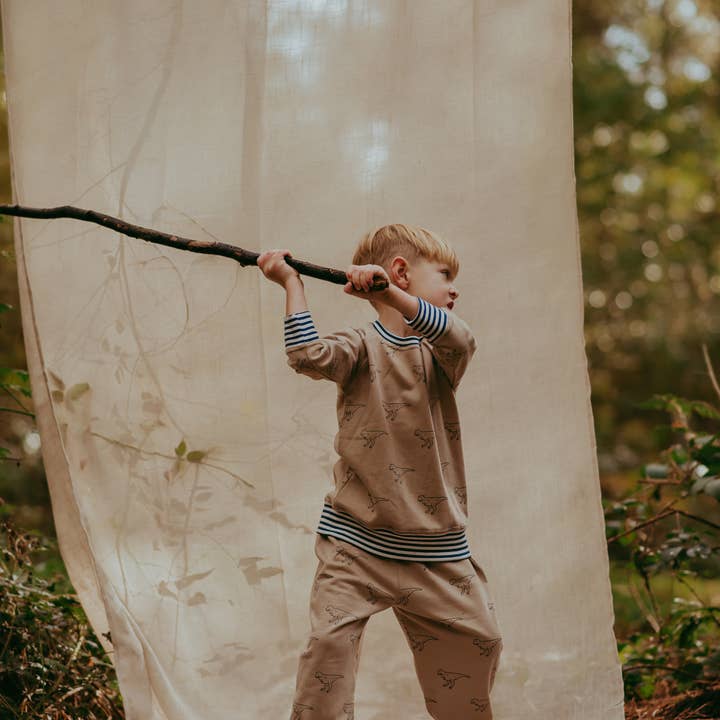 Brown Dinosaur Print Sweatshirt for wholesale by Lilly and Sid