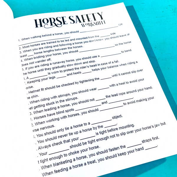 Circus Unicorn Shop - Wholesale Education Book - The Riding Student's Horse Workbook2