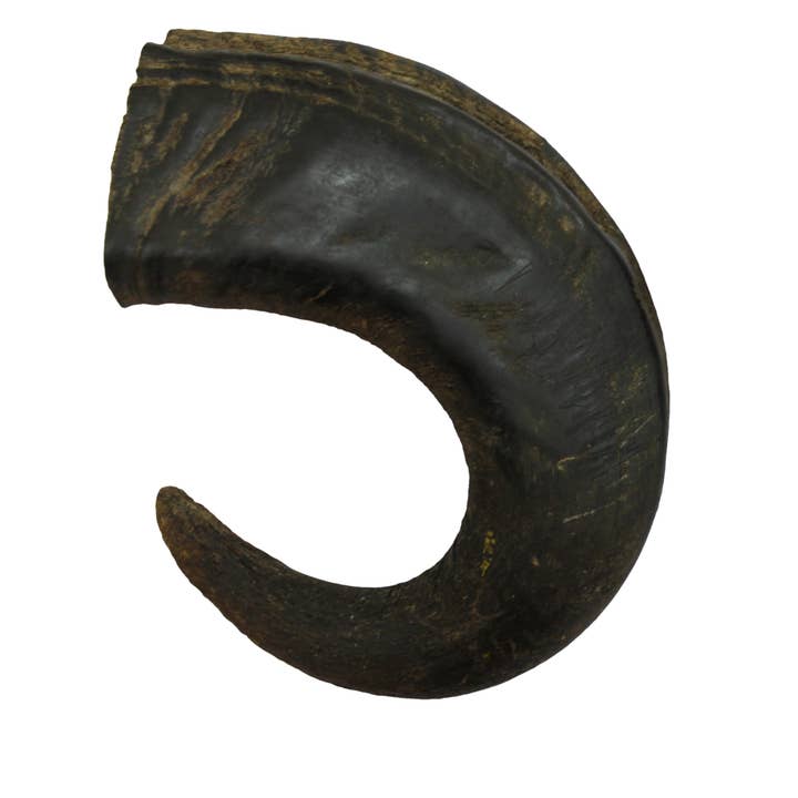 Mezcla de cuernos de búfalo 10kg para venta al por mayor de Bubimex