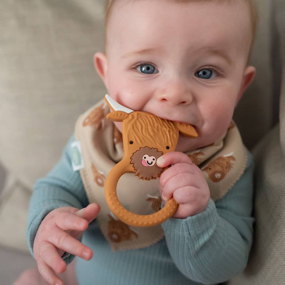 Ziggle Baby - Wholesale Bandana Bib - Highland Cow print bib2