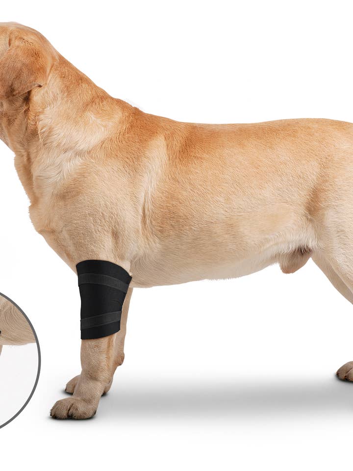 OrthoWrap Elbow Protector for wholesale by ZENPET