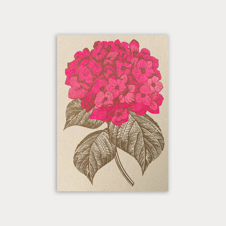 Postcard/Hydrangea/Eco-paper for wholesale by Togethery