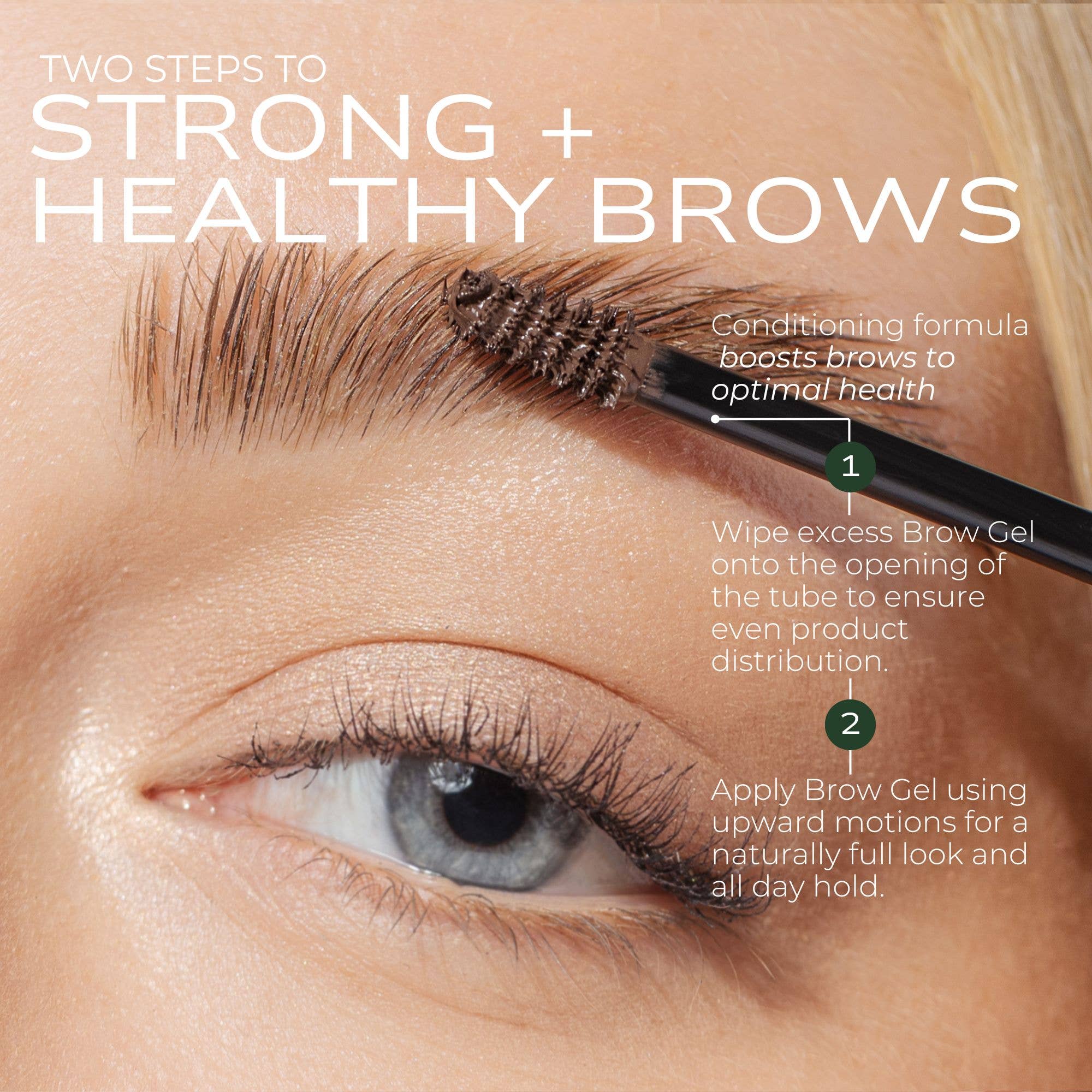 Fitglow Beauty - Wholesale Eyebrow Pencil/Filler - Plant Protein Brow Gel2