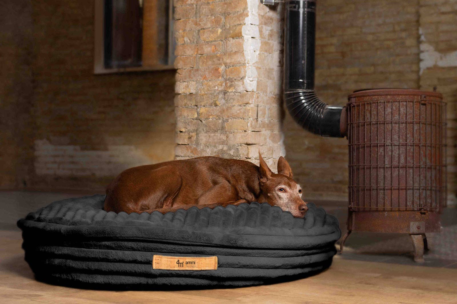 ammi for Dogs - Vente Panier – chien - Coussin pour chien Cama - intérieur en liège et extérieur en tissu douillet9