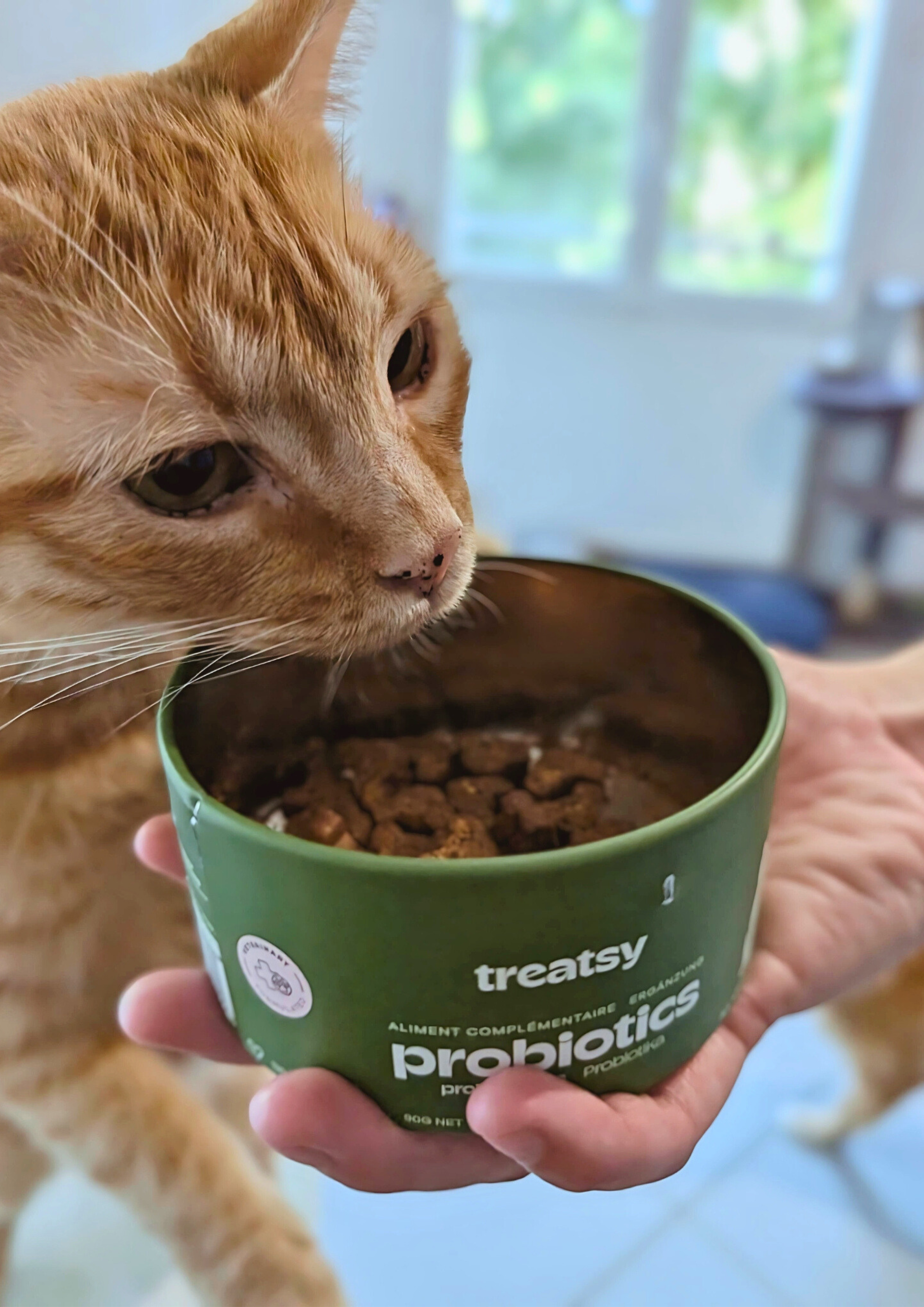 Treatsy - Vendita all'ingrosso Integratore per animali domestici - Gatti - Integratore probiotico per gatti | Consigliato dai veterinari | Pesce e pollo9