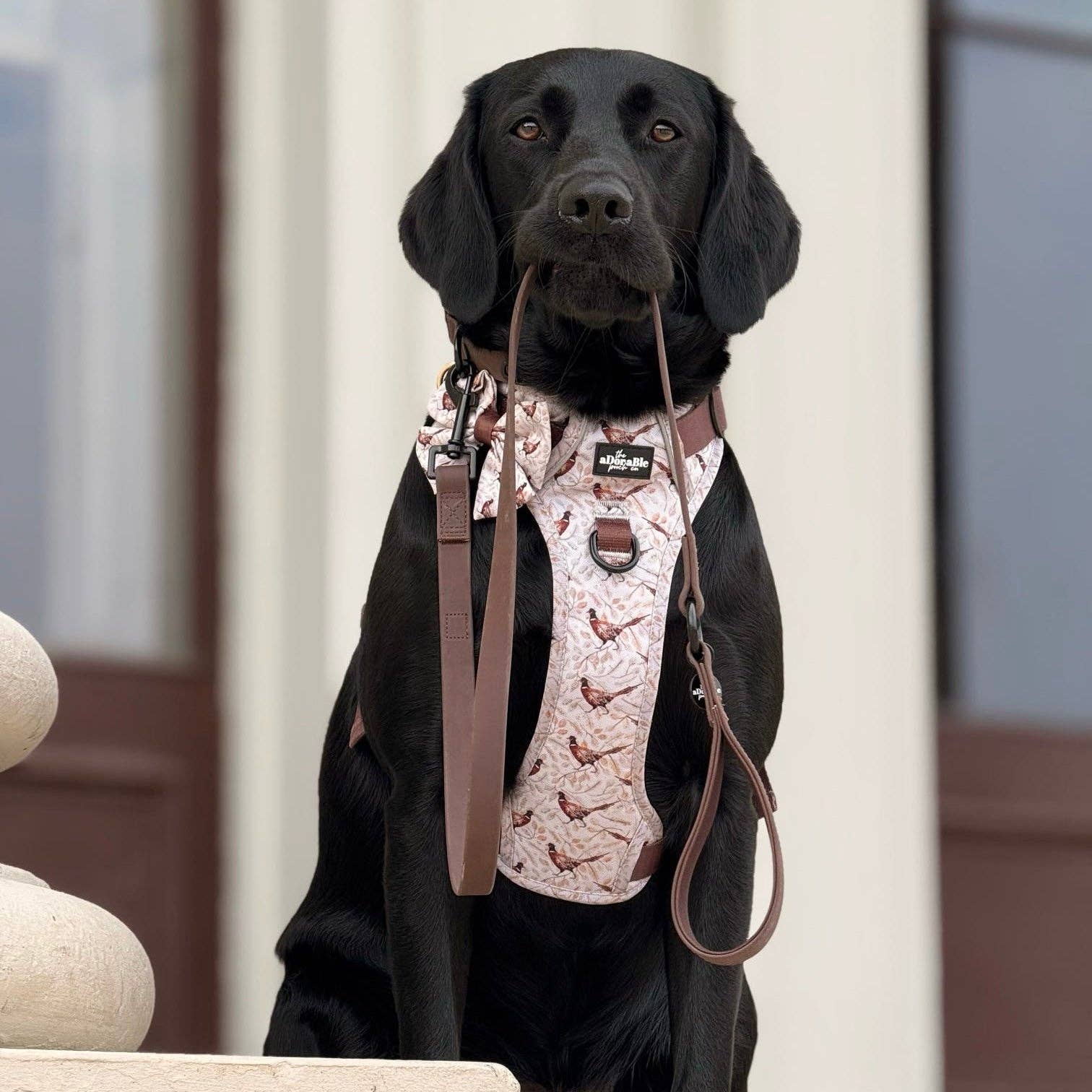 The aDoraBle Pooch Company - Wholesale Tuig voor huisdieren - Hond - Hike & Go™ Harnas - Farmland Fazant31