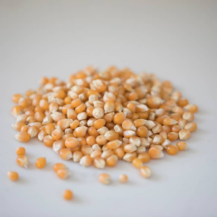 Amish Country Popcorn - Wholesale Popcorn - 4oz Bag of Mushroom Popcorn