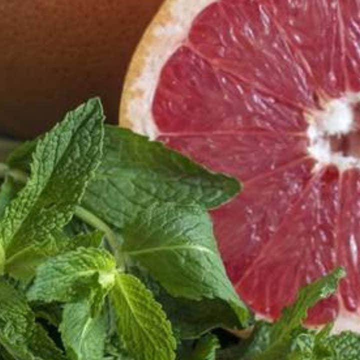 Bode+Ev - Wholesale Jar/Filled Candle - Grapefruit + Mint | Fresh Citrus & Herbal Soy Candle + Room 2