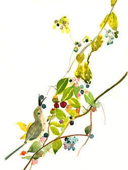 A4 Berry Bird Art Print for wholesale by Ping He Art