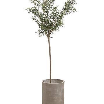 8' Olive Tree in Cement Planter Green for wholesale by Silk Flower Depot