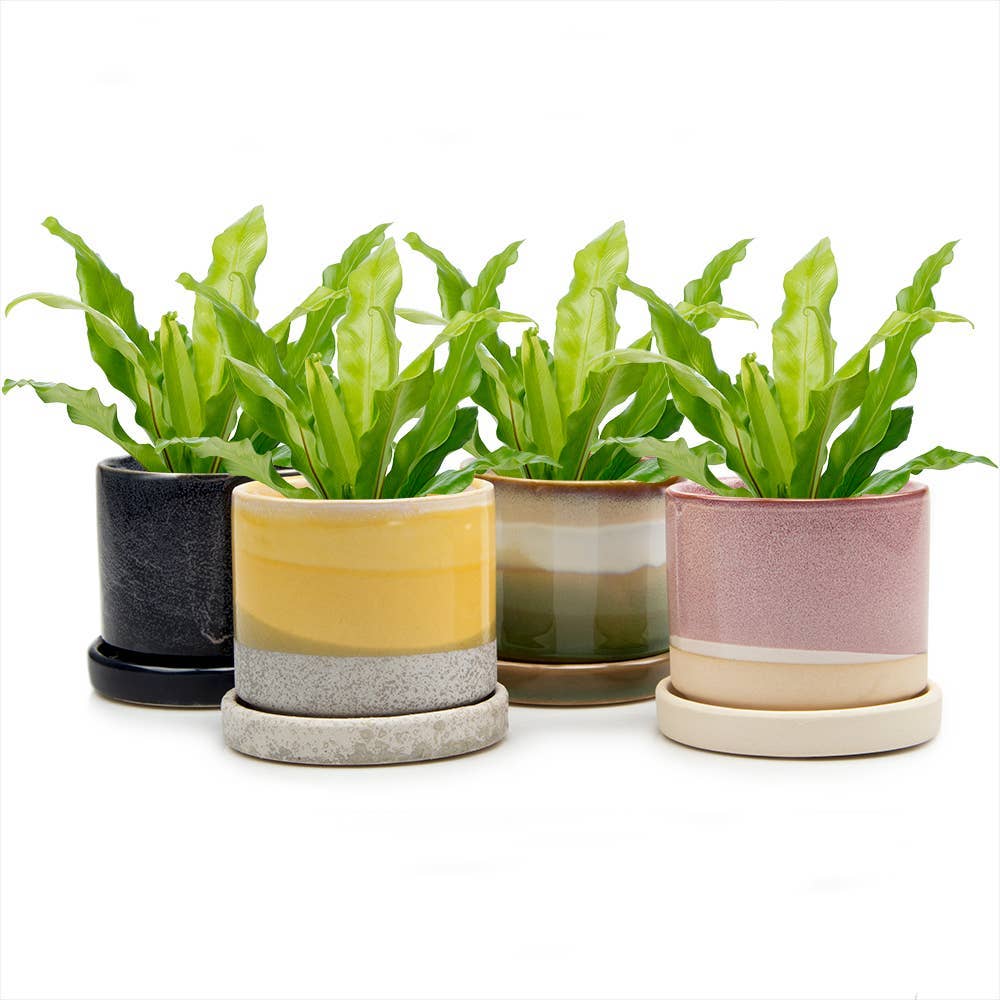Chive UK - Wholesale Plant Pot - Minute - Glazed Modern Ceramic Pot with Saucer39