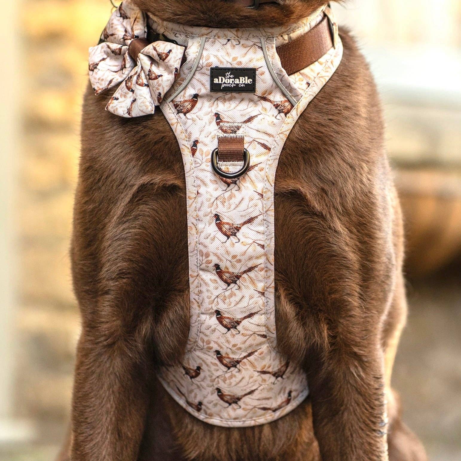 The aDoraBle Pooch Company - Wholesale Tuig voor huisdieren - Hond - Hike & Go™ Harnas - Farmland Fazant37