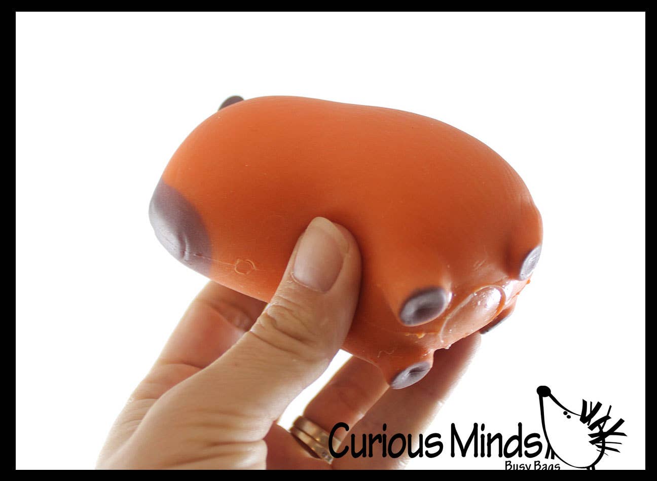 Curious Minds Toys - Wholesale Squishy Toy - Kids & Baby - 1 Capybara Squishy Squeeze Stress Ball Soft Doh Filling - L10