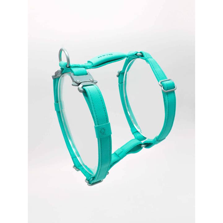 Qisu – Großhandel Haustiergeschirr – Hund – Hundegeschirr | Air Collection10