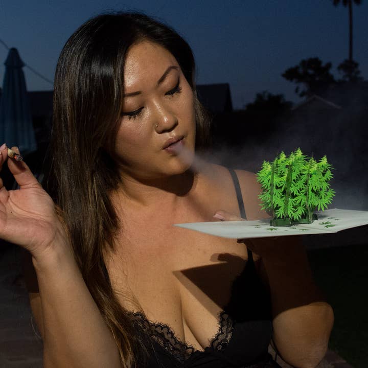 Dirty Pop Cards - Wholesale Everyday Greeting Card - Pot Plant Funny 3D Pop-Up Marijuana Stoner Greeting Card