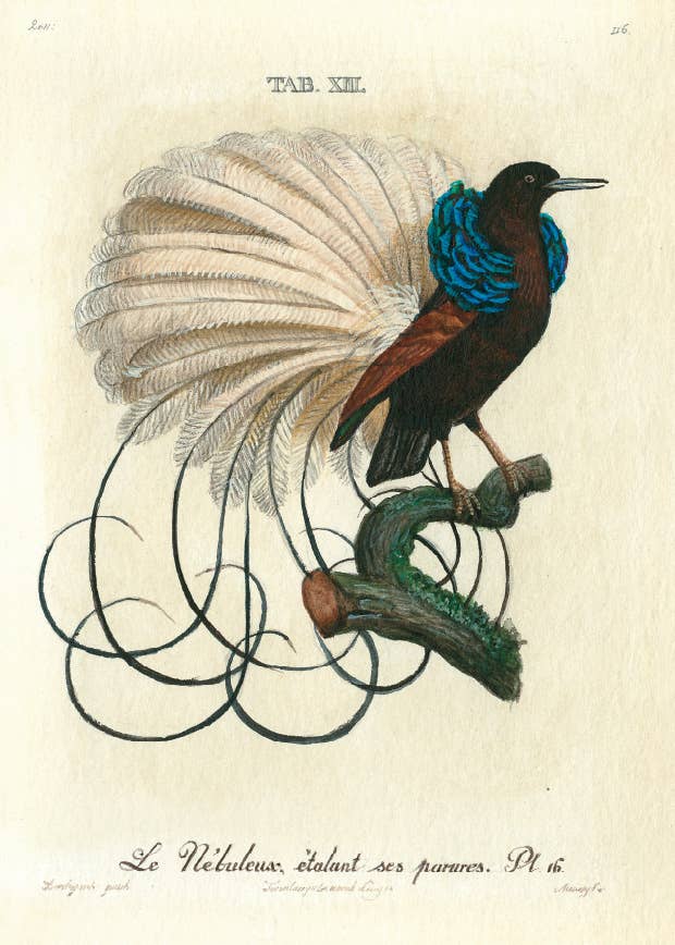 Bomo Art Budapest - Wholesale Everyday Greeting Card - Greeting Card + Envelope99