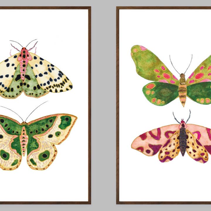 4 Moths - Set of 2 Art Prints for wholesale by Snoogs & Wilde Art