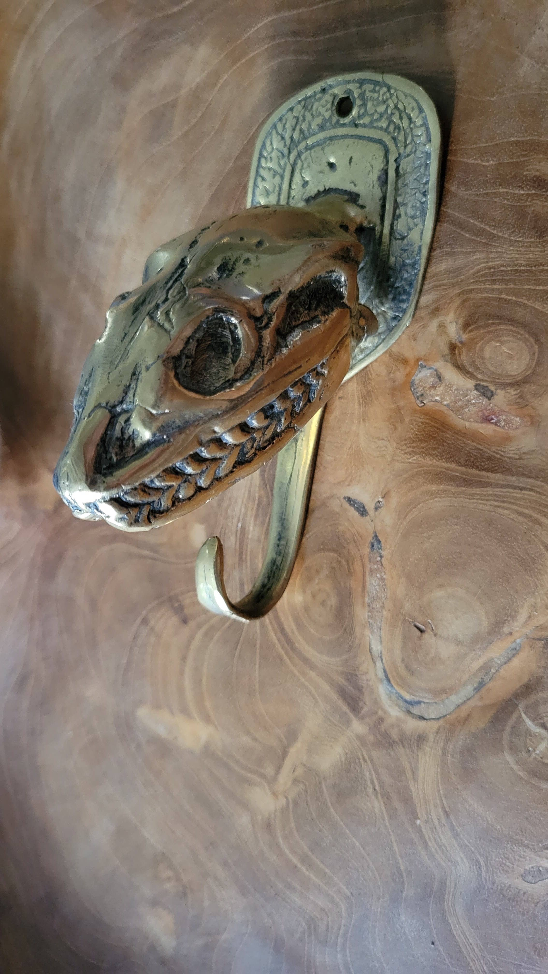 Ubud Glass - Wholesale Muurhaak - Dinosaur Skull haken1