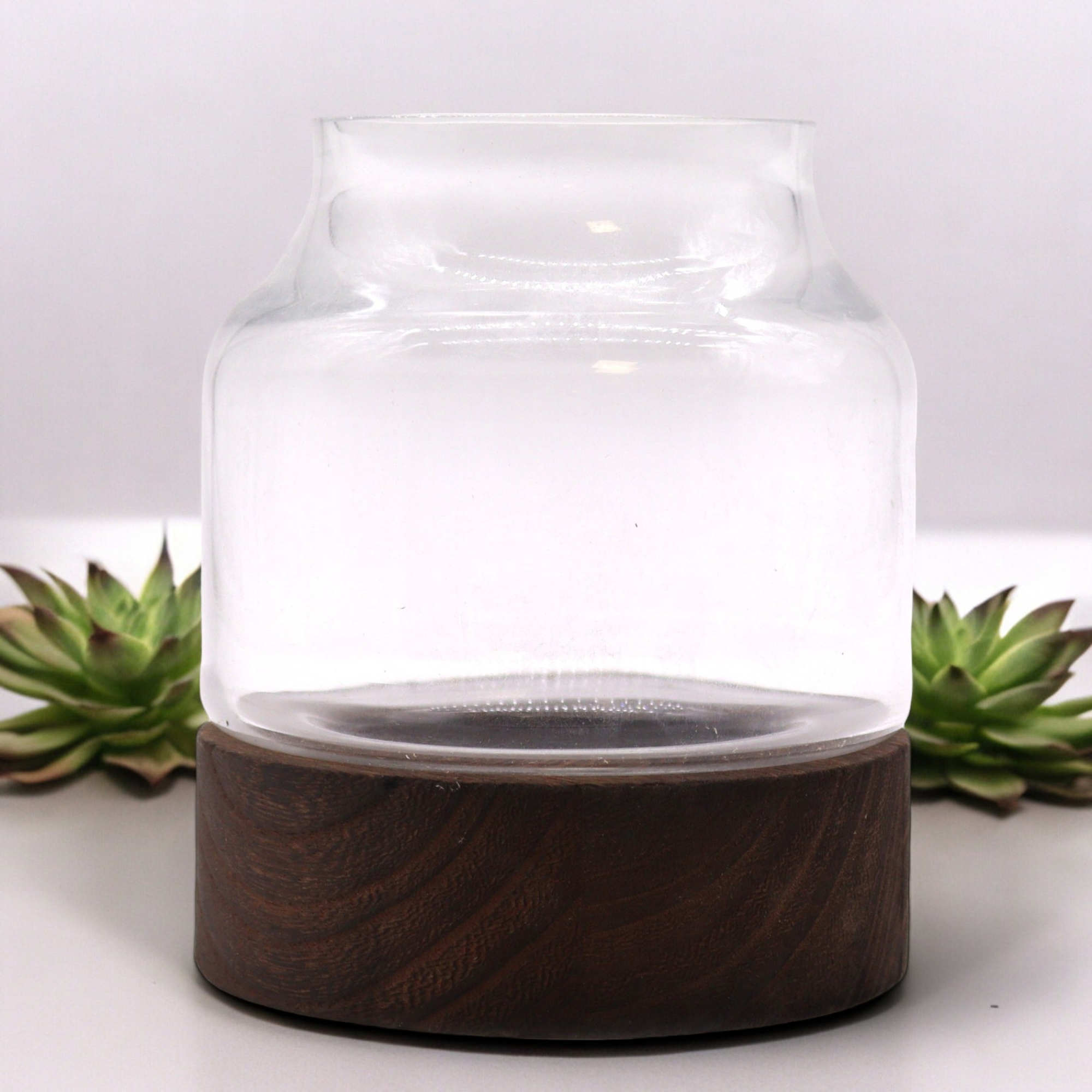 AW Artisan - Wholesale Terrarium - Small Dark Tung Wood Terarium - 12x13cm1