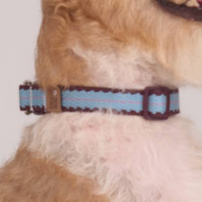 Cherry Biscuit Safety Collar -- Burgundy/ Teal/ Lilac Pink for wholesale by ZUMIZUMI