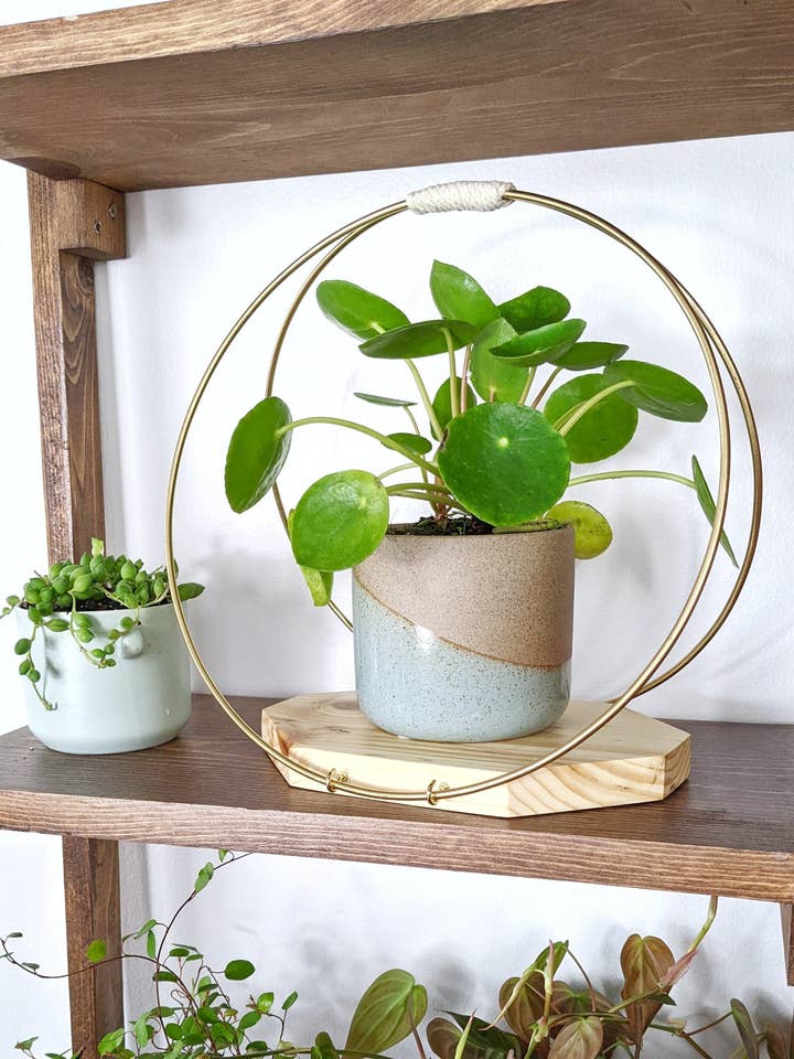 The Everly - Modern Centerpiece for wholesale by Laurel & Twine