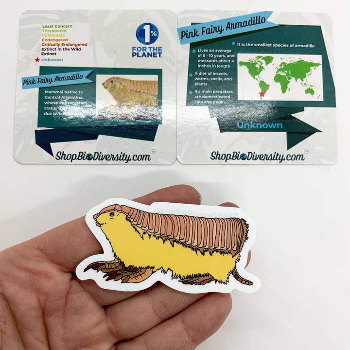 Shop BioDiversity - Wholesale Sticker - Pink Fairy Armadillo Vinyl Sticker - Cute Animal Decal