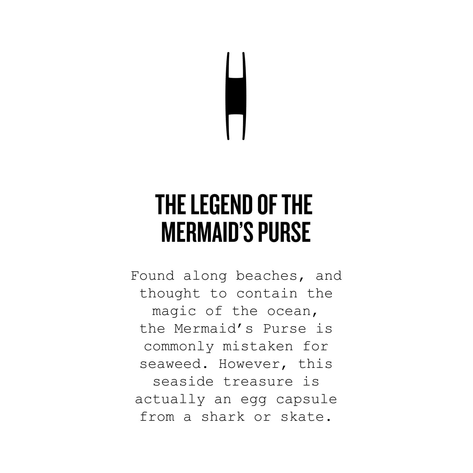 Cape Clasp - Wholesale Cuff Bracelet - Mermaid's Purse Cuff - Ocean Jewelry - Cape Clasp4