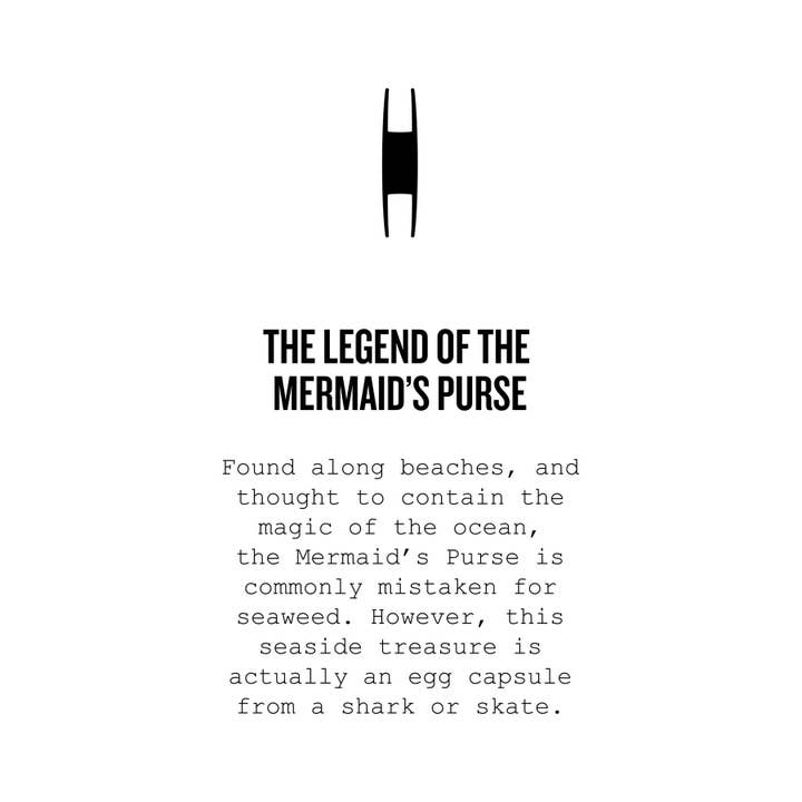 Cape Clasp - Wholesale Cuff Bracelet - Mermaid's Purse Cuff - Ocean Jewelry - Cape Clasp4