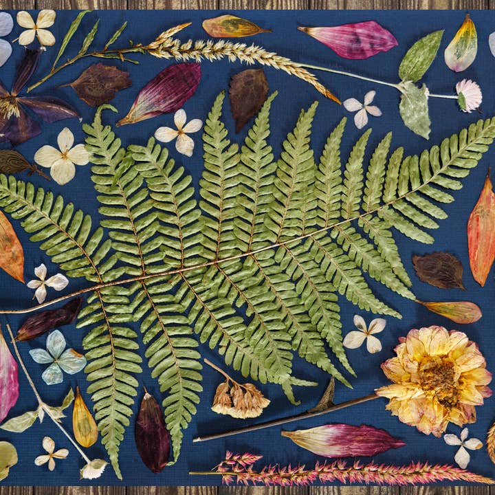 Fern Botanical Placemats for wholesale by Mon Petit Chou Art and Design