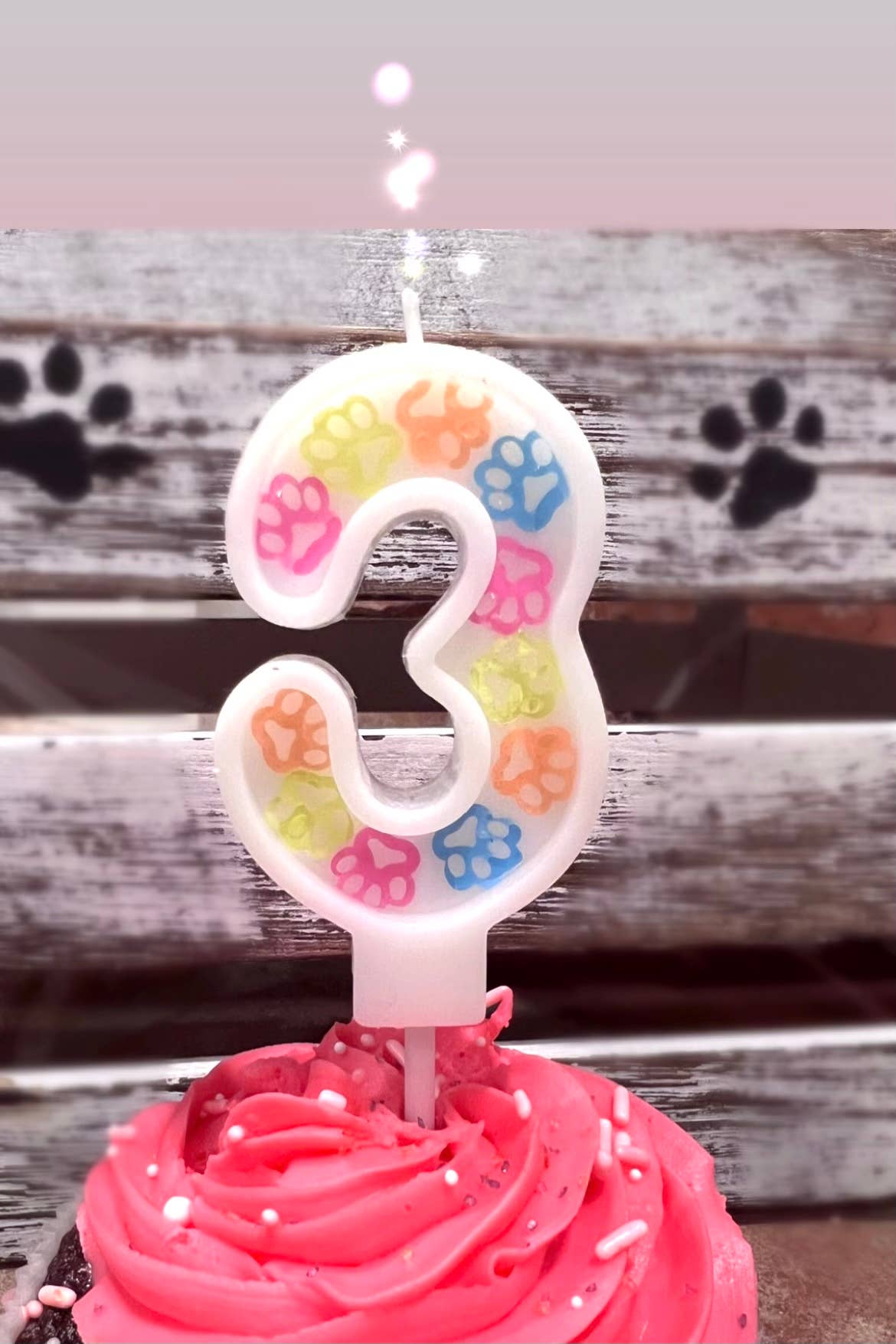 Riley Roo Candles - Wholesale Cake Candle - Dog Birthday Party Candle | Pet Themed Cake Candles 7