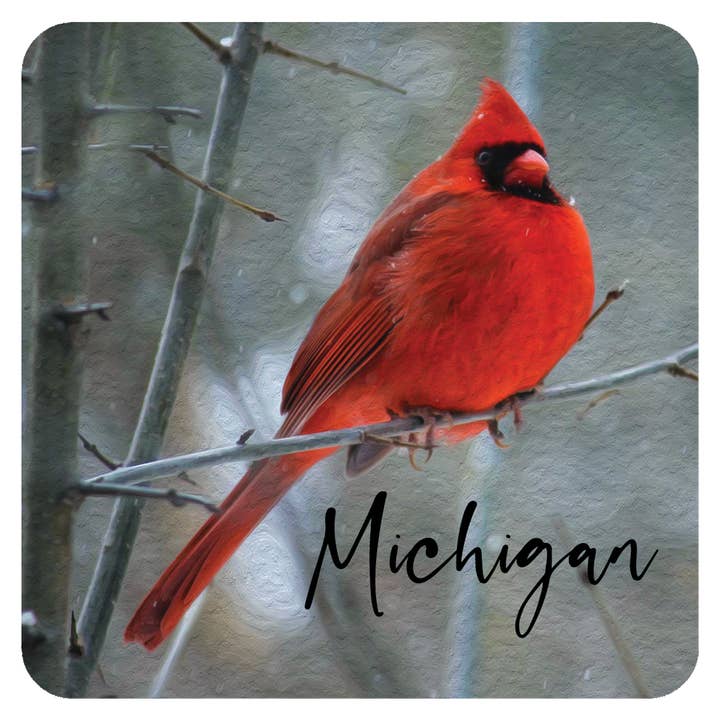 Cardinal Stone Magnet "Add Your Text" Bird Personalized for wholesale by Noomoon