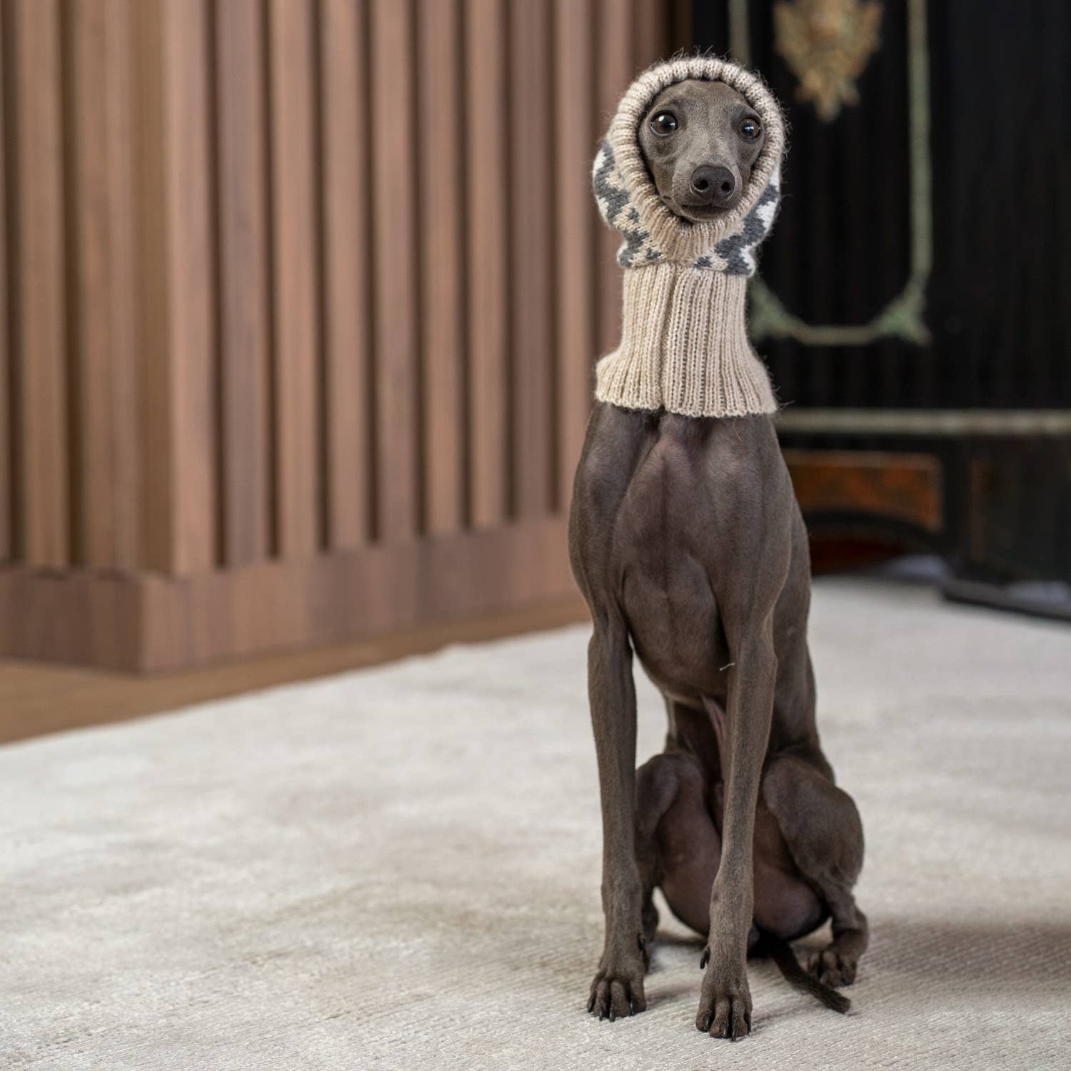 Alqo Wasi – chapéu - Cão por atacado – Gorro de inverno em lã de alpaca para cães0