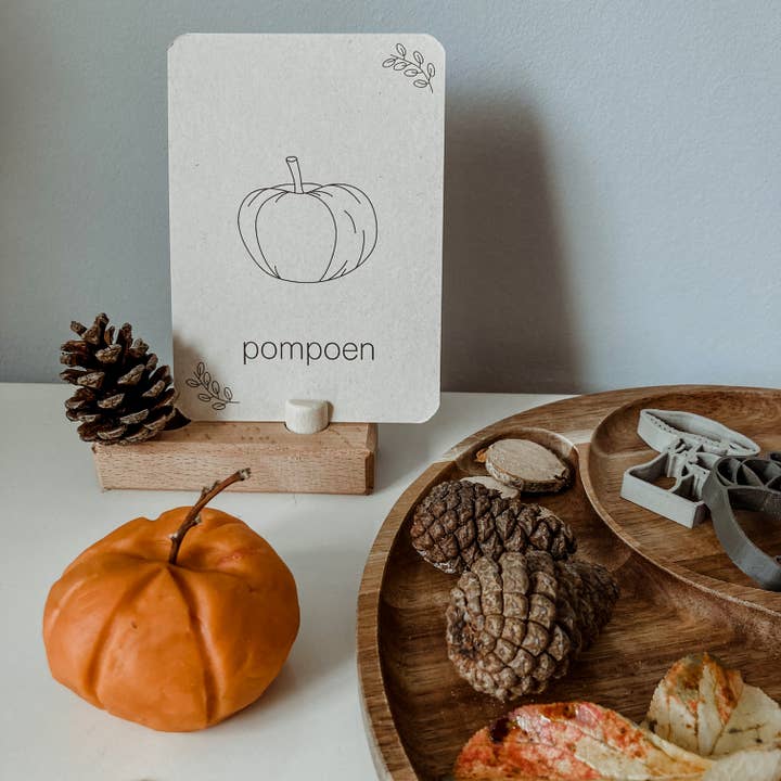 Wildebras - Wholesale Learning Cards - Kids & Baby - Autumn flashcards - learning about the season through play - Montessori2