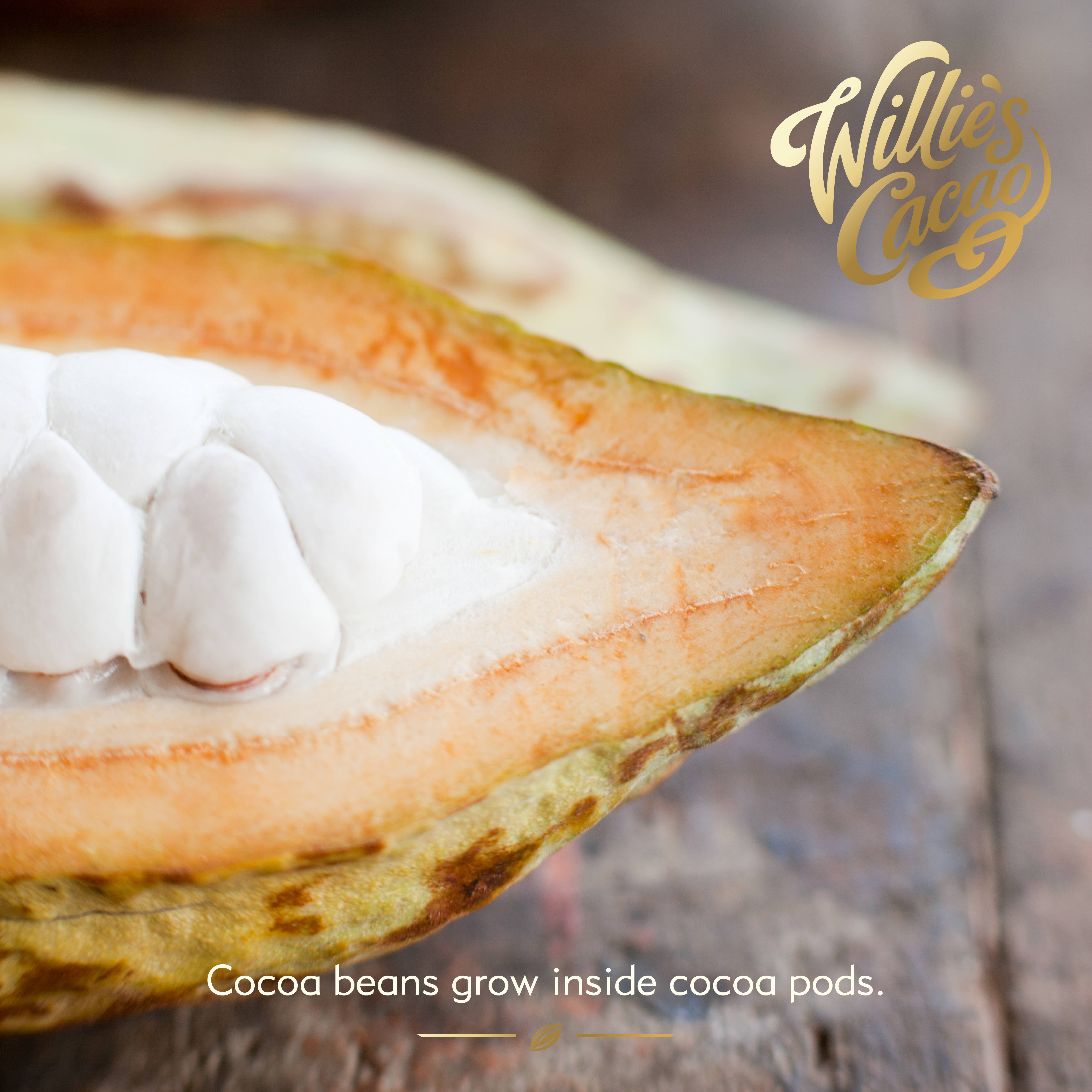 Willie's Cacao - Wholesale Chocolate Box - Raspberry Truffles with soft raspberry centre. x5  35g5