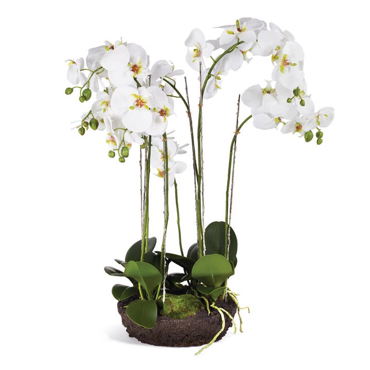 Napa Home & Garden - Wholesale Artificial Flowers - Phalaenopsis Orchid Bowl Drop-In 31.5"