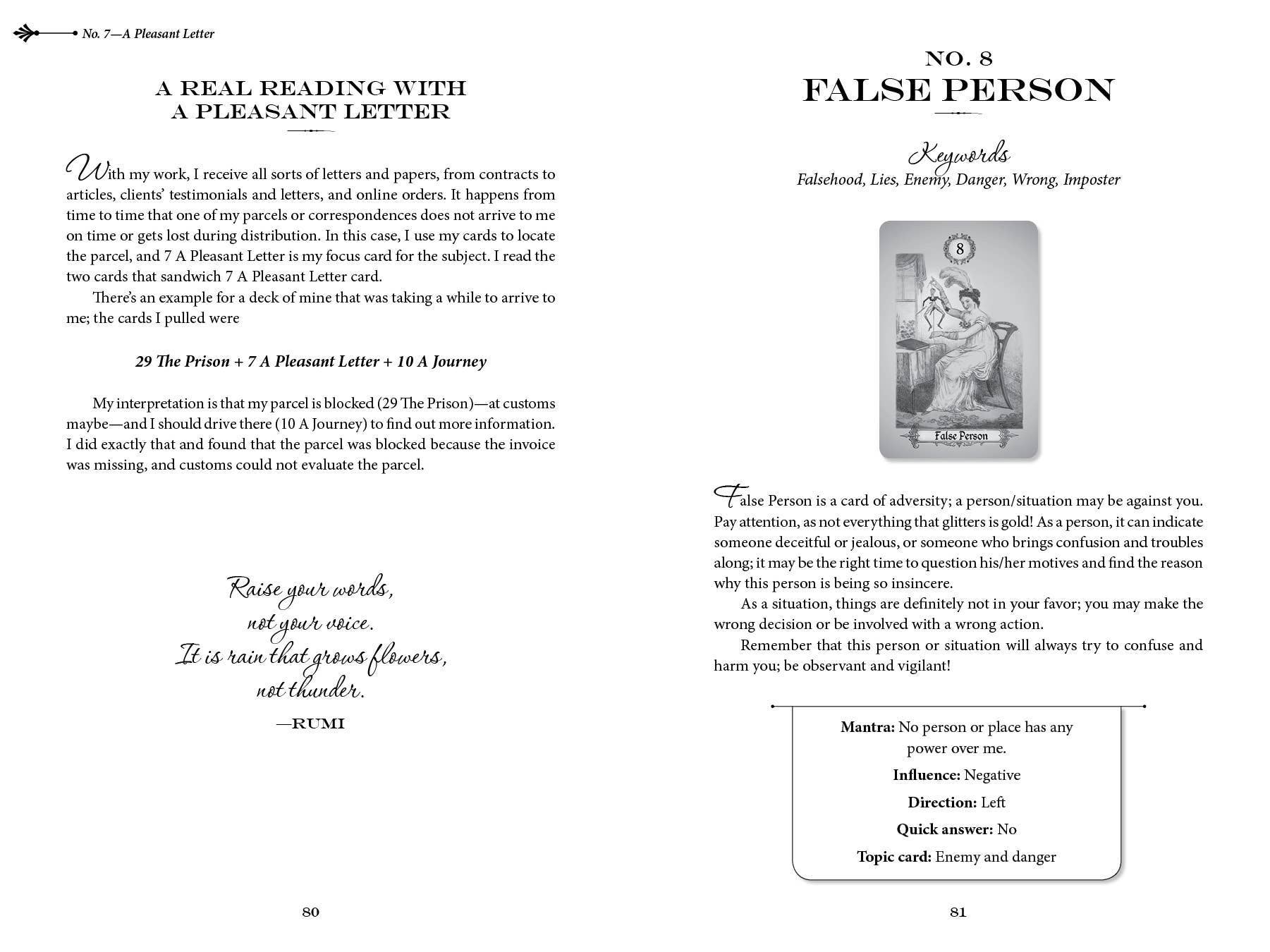 Schiffer Publishing - Wholesale Philosophy - The Art of Kipper Reading: Decoding Powerful Messages4