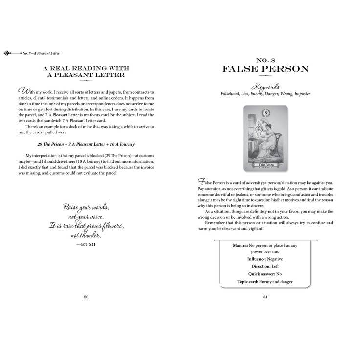 Schiffer Publishing - Wholesale Philosophy - The Art of Kipper Reading: Decoding Powerful Messages4