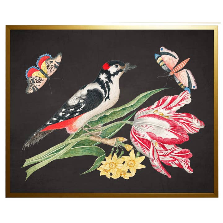 Antique Curiosities Inc - Wholesale Art Print - Vintage bookplate with birds, flowers, and insects D