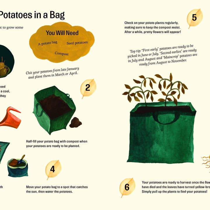 gestalten & teNeues - Wholesale Nature & Outdoors Book - Little Green Fingers – Easy Peasy Gardening Activities5