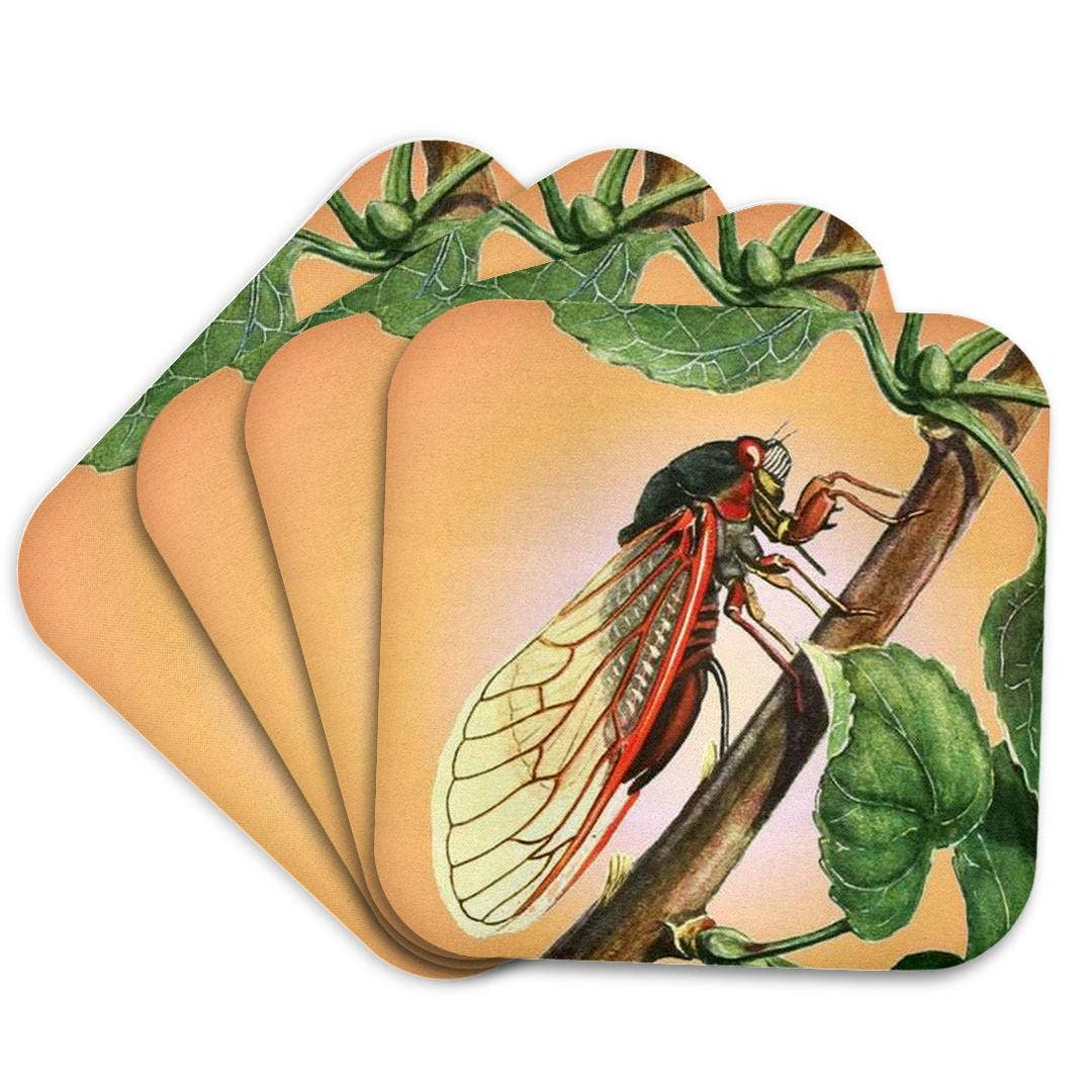 3dRose - Wholesale Coasters - 3dRose, Cicada - cicada, cicadas, magicicada septendecim, insect, insects, bugs, winged insects, Coaster7