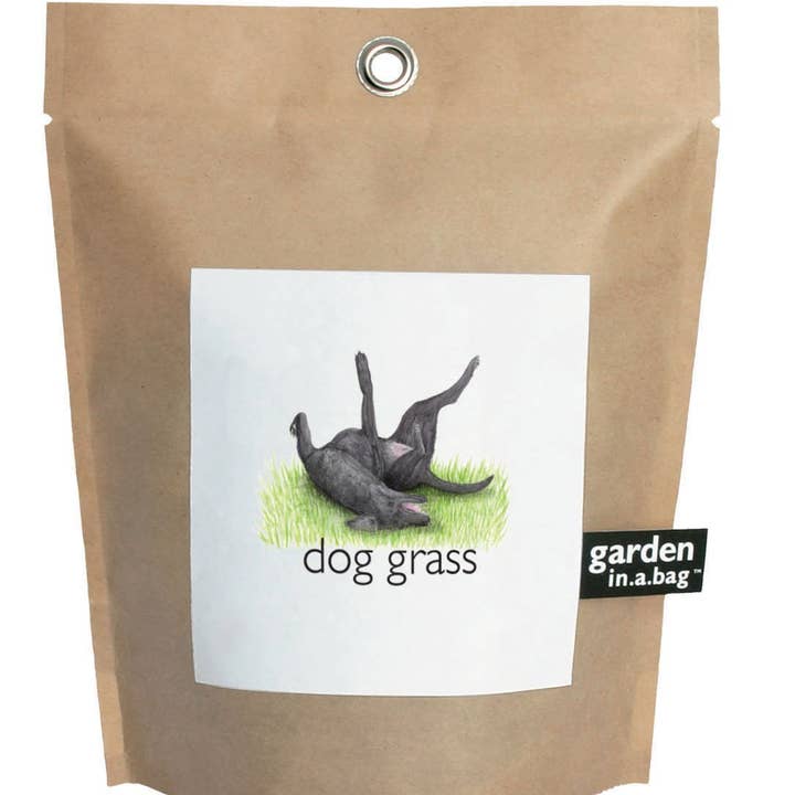 Potting Shed Creations, Ltd. - Wholesale Pet Treats - Dog - Garden in a Bag | Dog Grass | Pet Treat | Dog gift