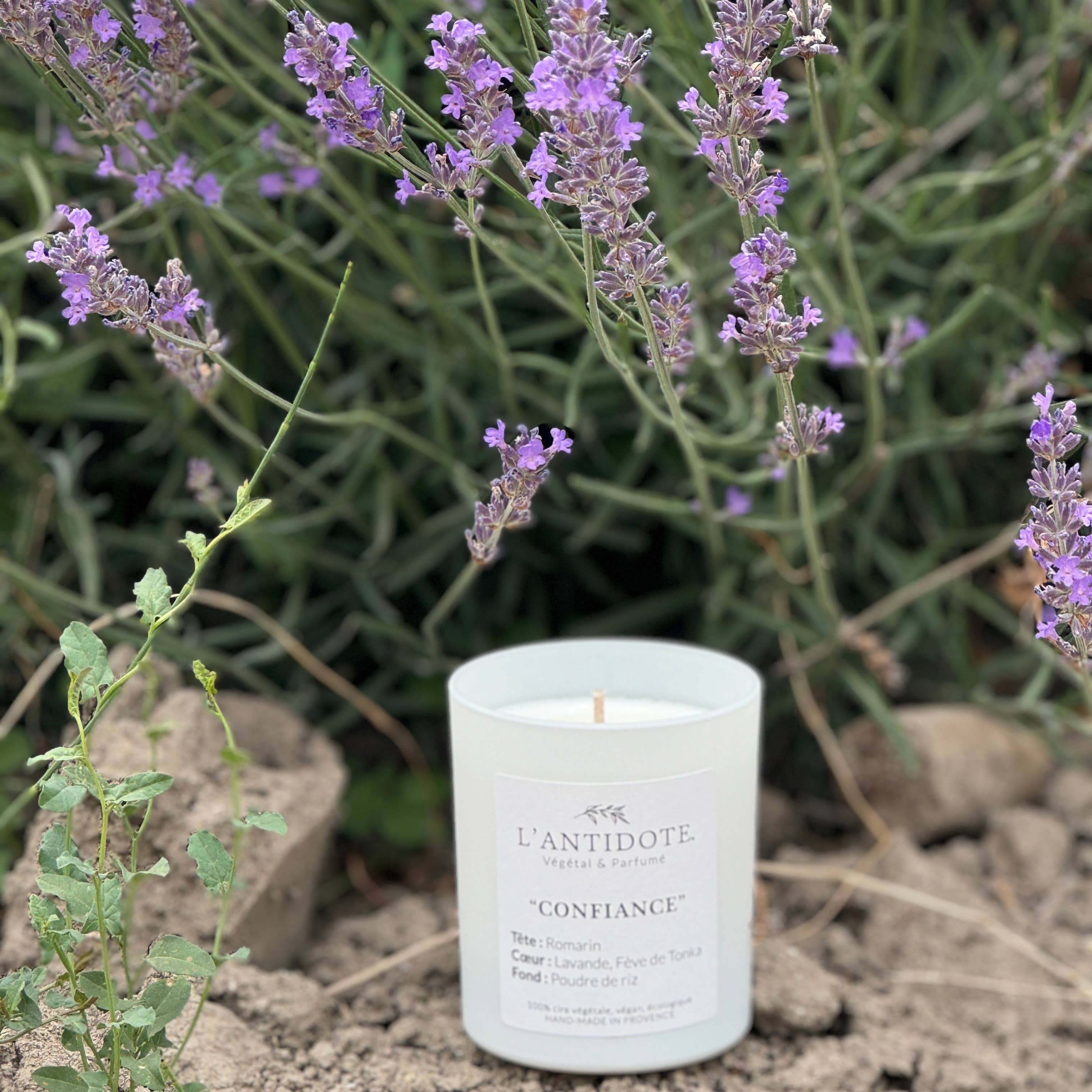 L'ANTIDOTE - Vente Bougie en bocal - Bougie CONFIANCE3