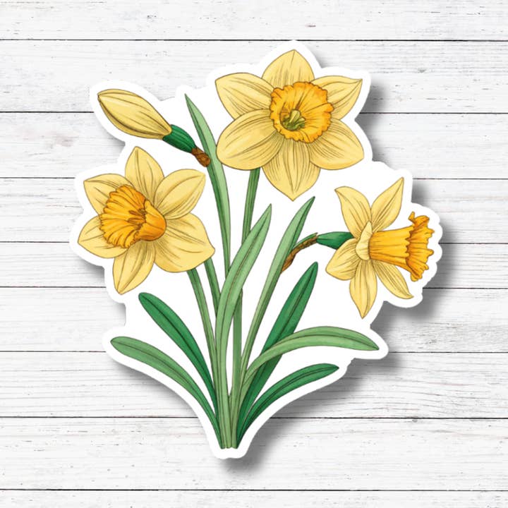 Adesivo/Magnete Fiore di Narciso per la vendita all'ingrosso da parte di Oily Graphic Creations