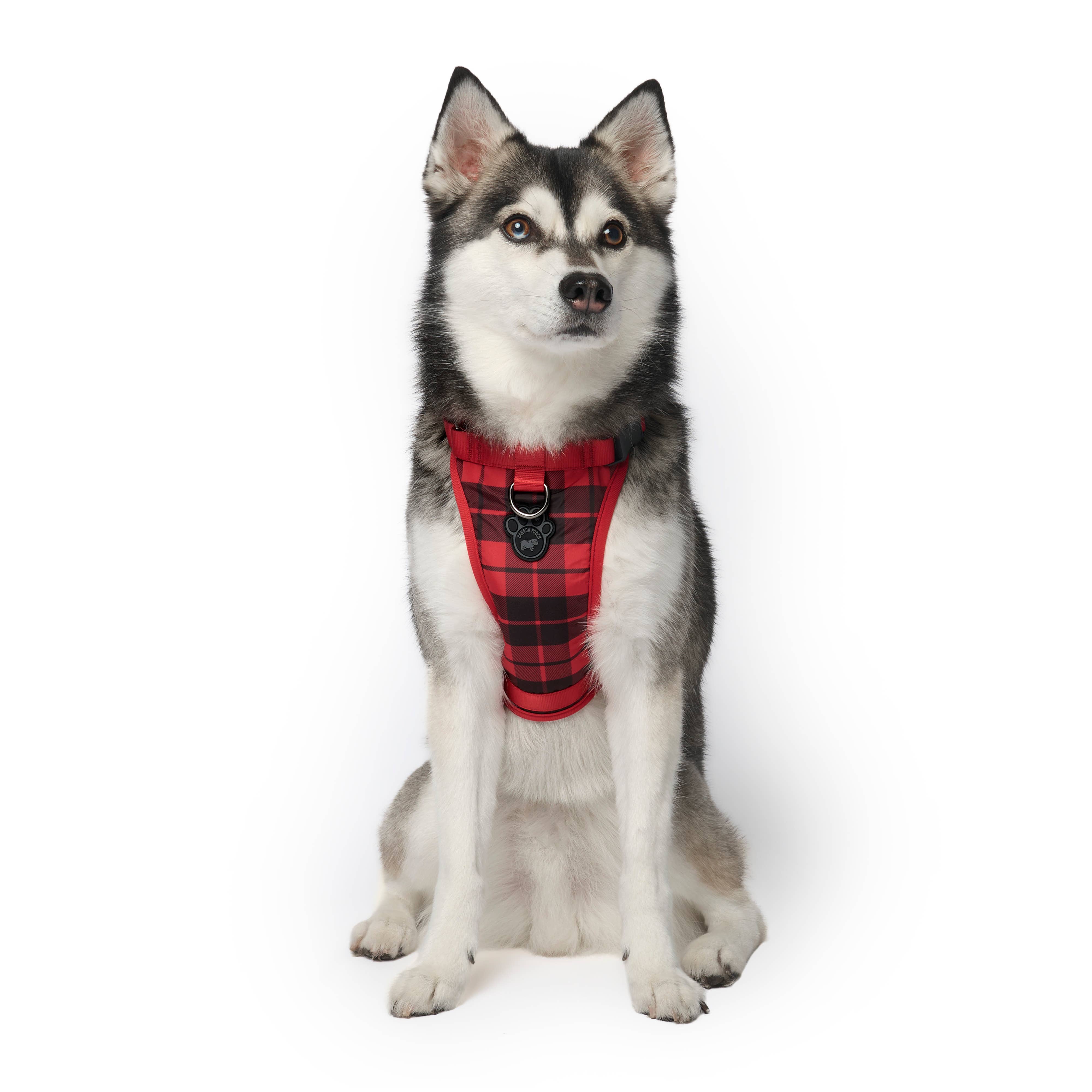 Canada Pooch - Wholesale Pet Harness - Dog - Everything Harness- No-Pull Dog Harness5