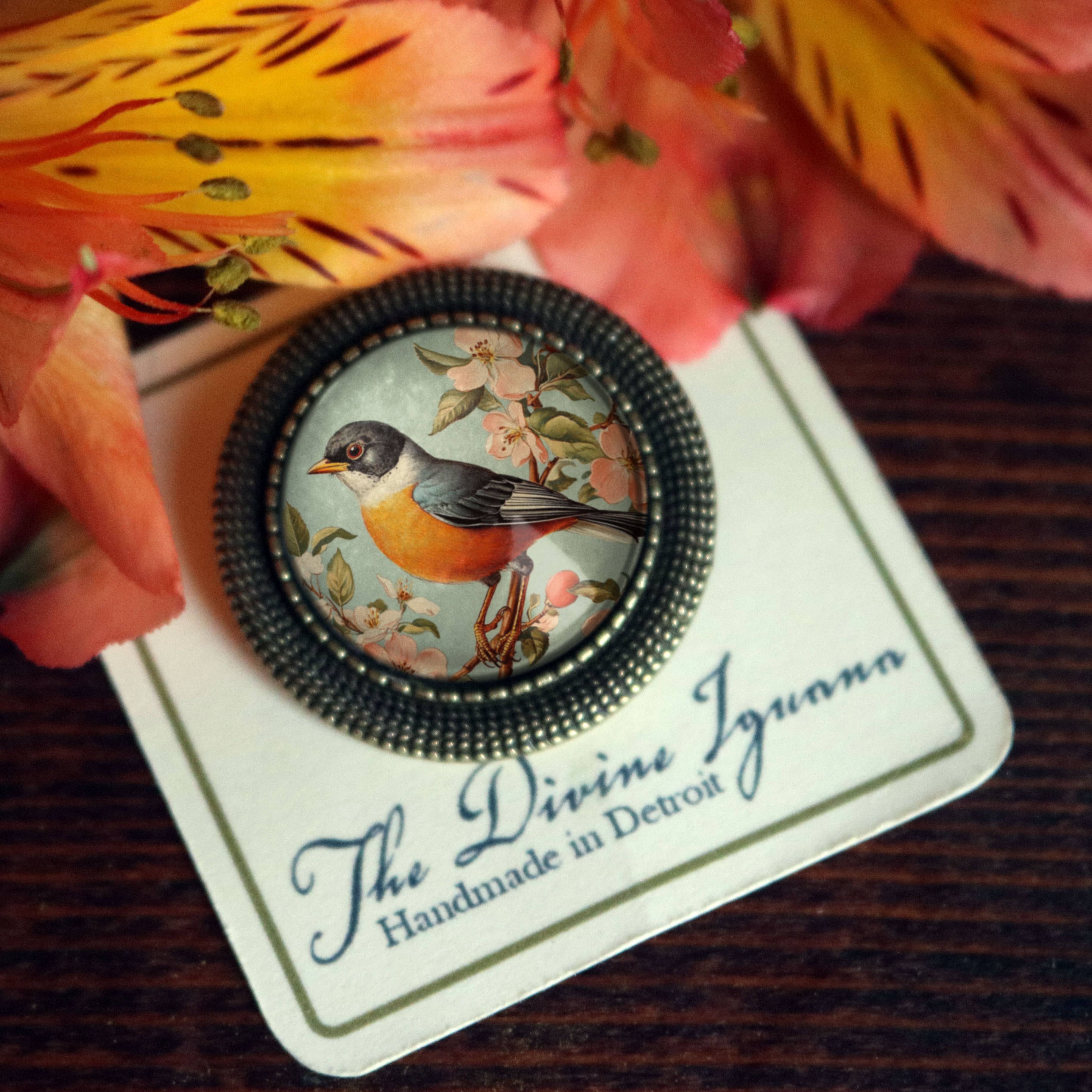 The Divine Iguana - Wholesale Brooch - Vintage Robin Spring Bird Glass Cabochon Brooch6