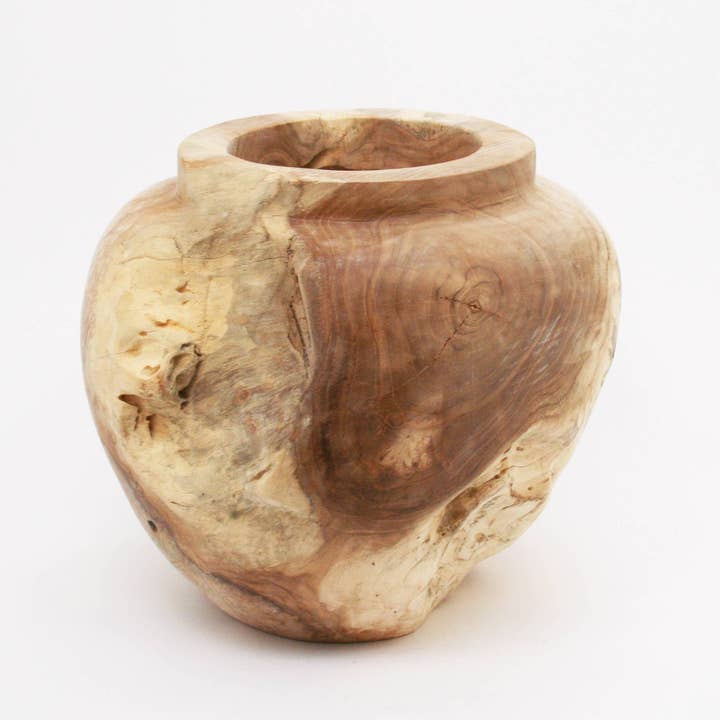 Modern Eastern by Contrast Inc. - Wholesale Vase - Teak Root Pot1