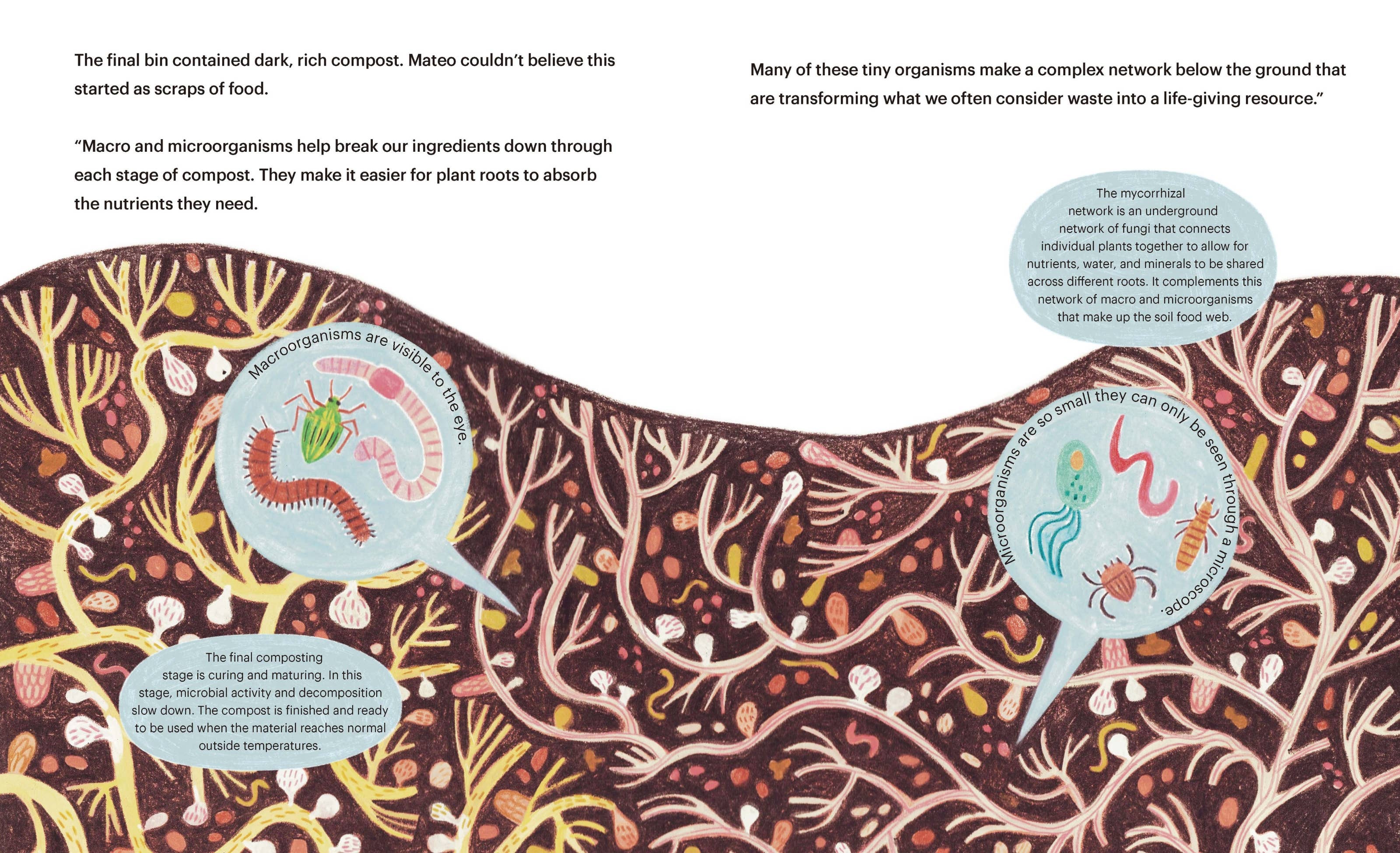 Gloo Books - Wholesale Preschool Book (3-5) - Composting for Community: A STEM Kids Picture Book (Ages 3+)6