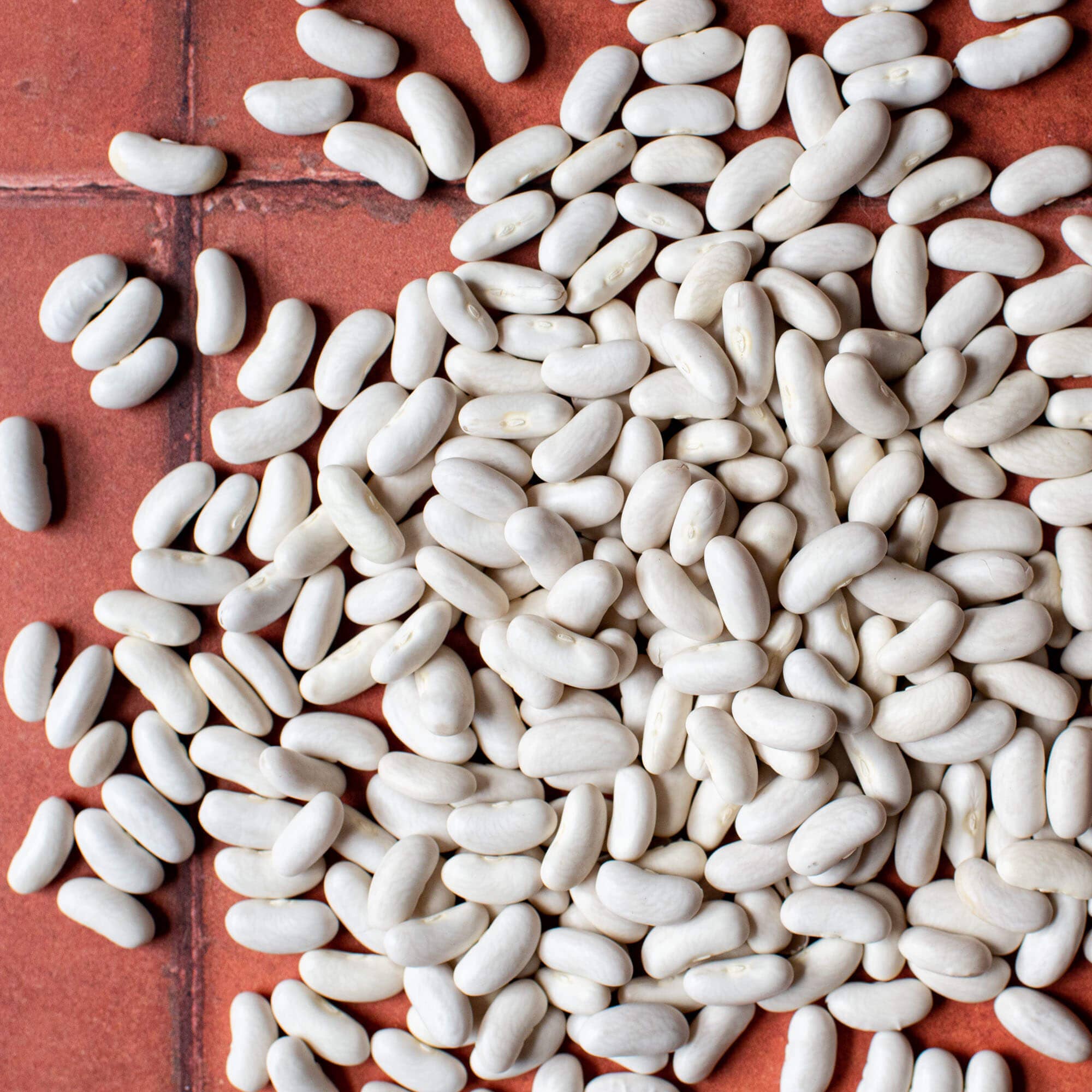 REMOVED BRAND - Wholesale Beans - Cannellini beans (Organic)1