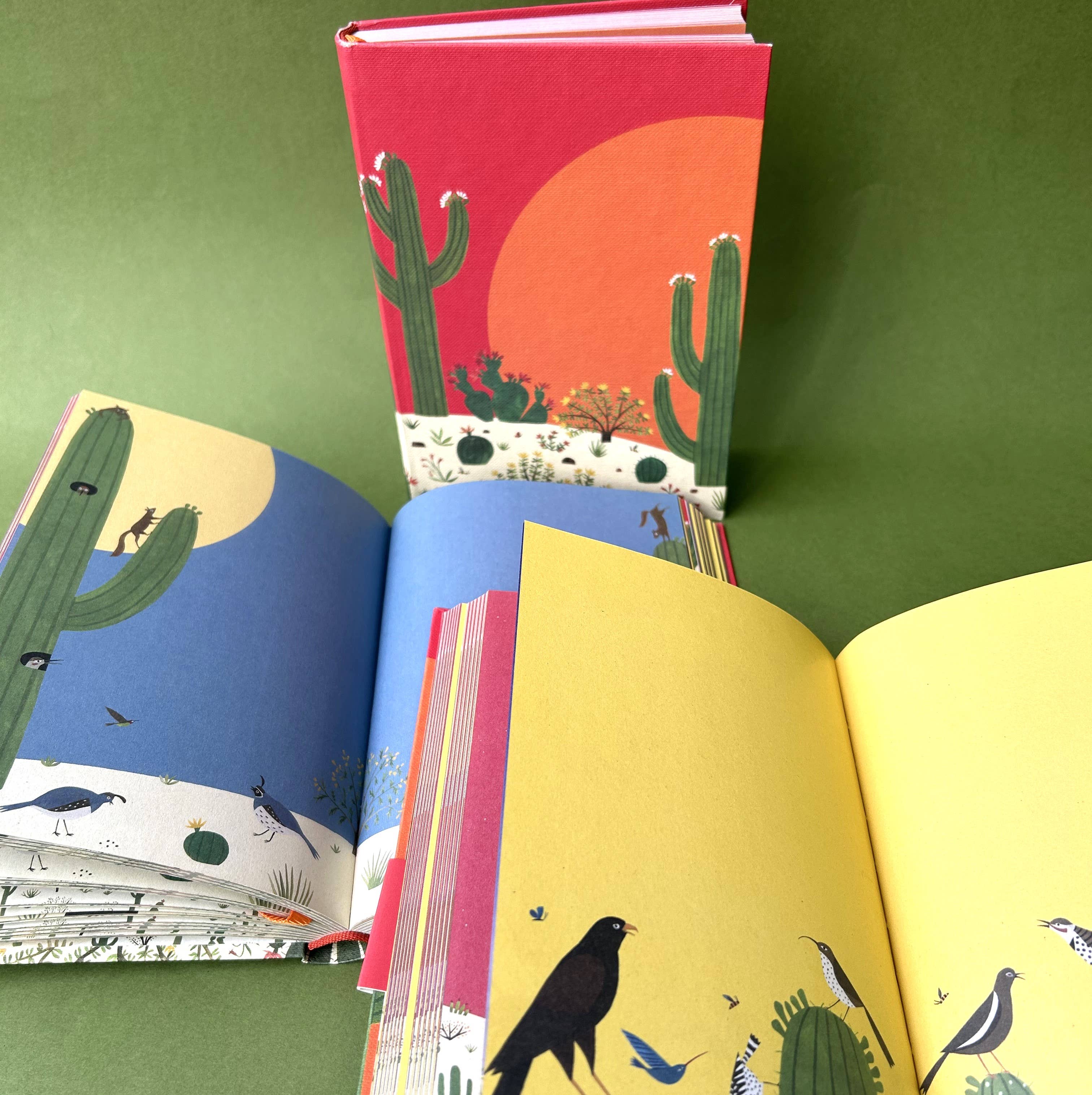 Roger La Borde - Wholesale Journal/Diary - Cactus Grove Illustrated Journal  - AS 0782